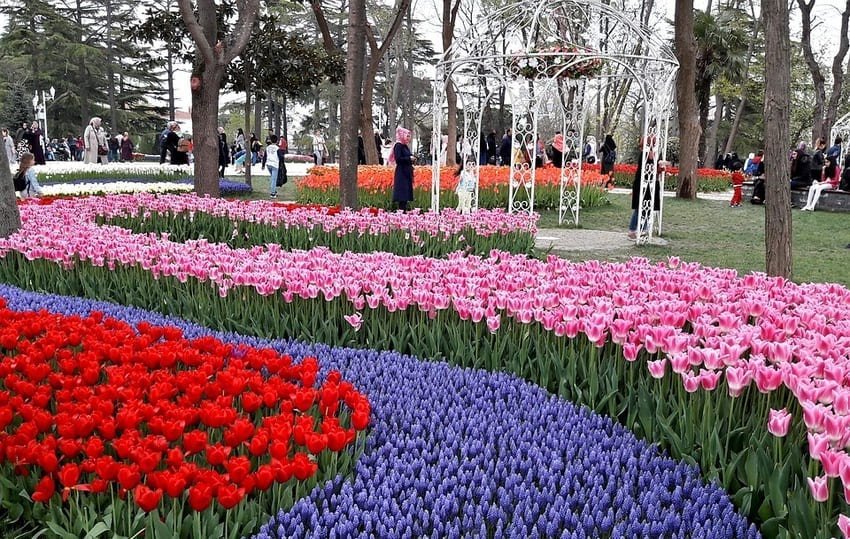 Kolorowy ogród krajobrazowy w parku Emirgan w Stambule.